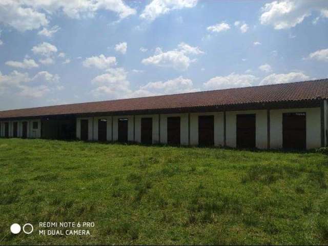 Haras para Venda em Piedade, Vila Elvio