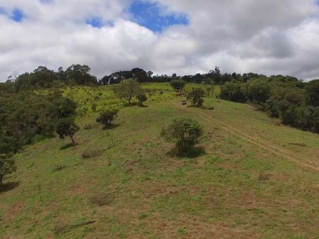 Terreno para Venda em Piedade, Godinhos