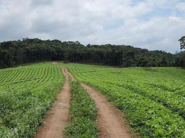 Área Rural para Venda em Piedade, Vila Elvio