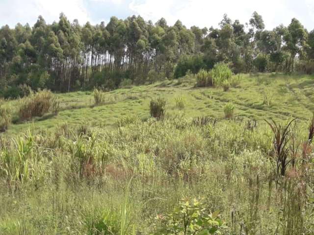 Área Rural para Venda em Piedade, Furnas