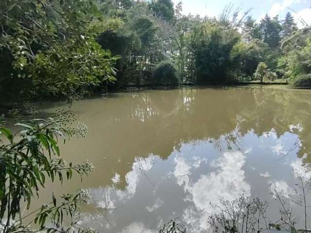 Sítio para Venda em Piedade, Oliveiras