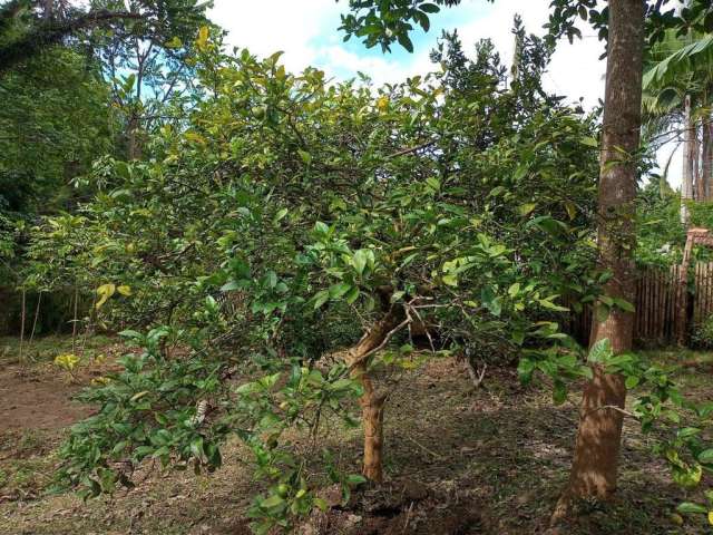 Chácara para Venda em Piedade, Fazendinha