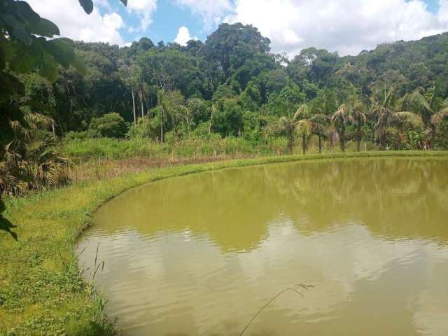 Chácara para Venda em Piedade, Caetezal .