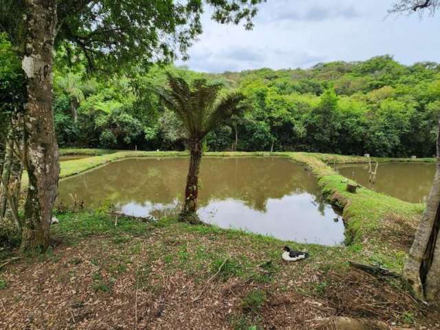 Chácara para Venda em Piedade, Cafaro