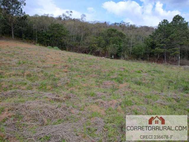 Terreno para Venda em Piedade, Ortizes