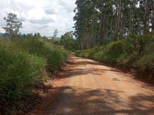 Terreno para Venda em Piedade, PIRAPORINHA