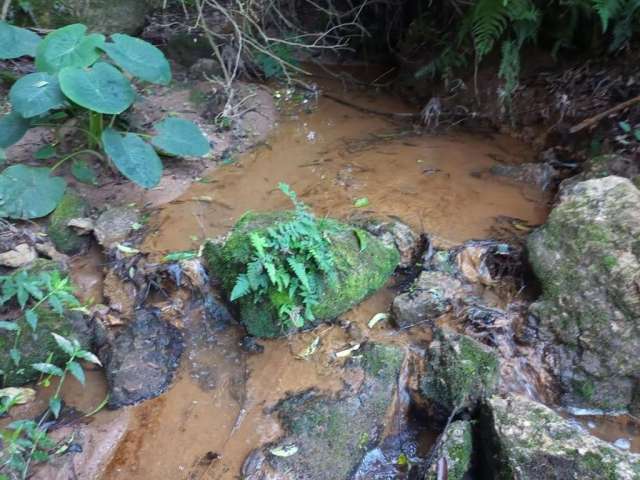 Terreno para Venda em Piedade, Ortizes