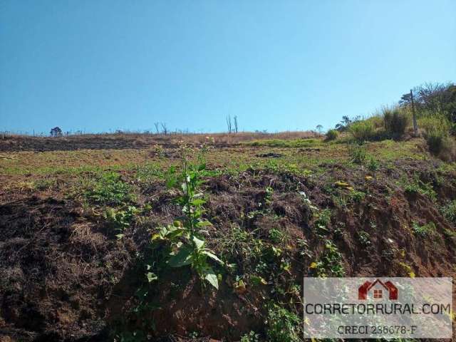 Terreno para Venda em Piedade, Ortizes