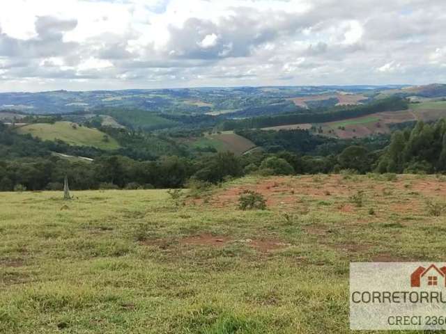 Terreno para Venda em Piedade, Oliveiras