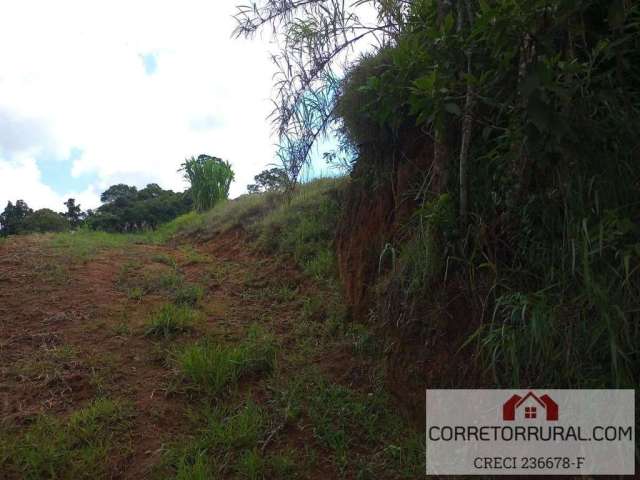 Terreno para Venda em Piedade, Ortizes