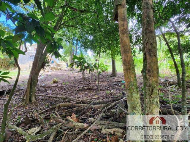 Terreno para Venda em Piedade, Garcias