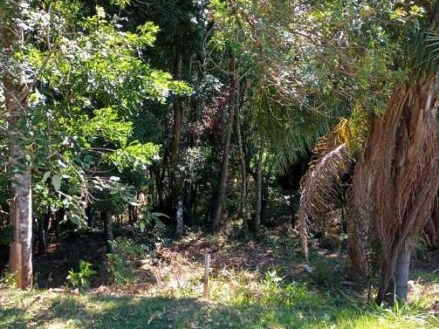 Terreno para Venda em Piedade, Oliveiras