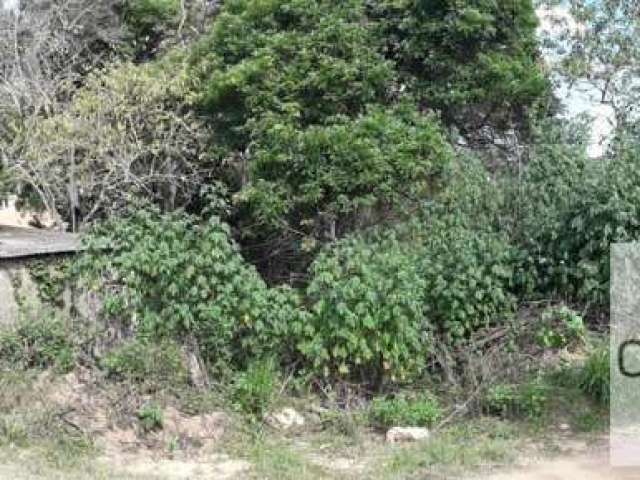 Terreno para Venda em Piedade, Ortizes