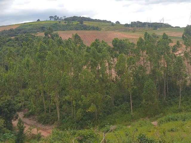 Área Rural para Venda em Piedade, Furnas