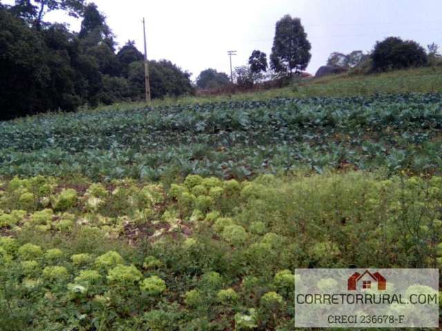 Terreno para Venda em Piedade, PIRAPORINHA