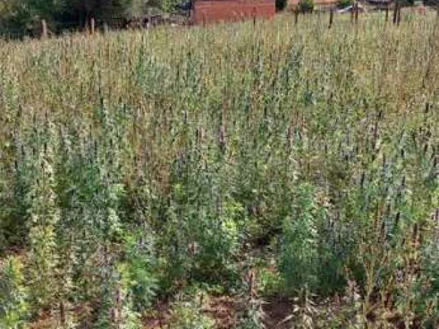 Terreno para Venda em Piedade, Funil