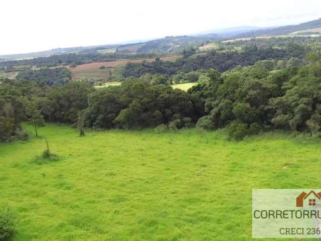 Terreno para Venda em Piedade, Leite