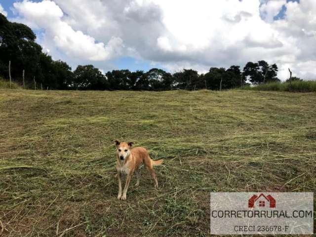 Terreno para Venda em Piedade, Limal