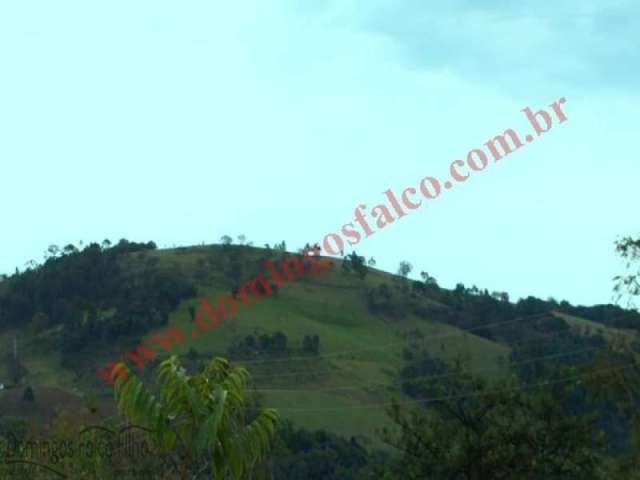 Venda ZonaRural Bueno Brandão /MG