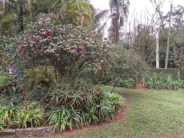 Venda Tatetos São Bernardo do Campo/SP