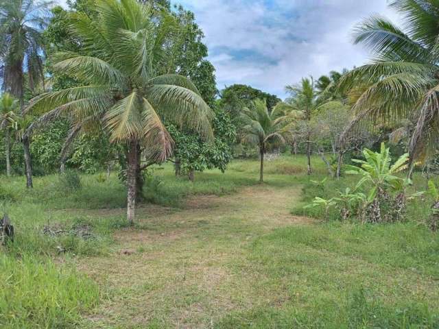 Terreno para Venda em Camaçari / BA no bairro Cajazeiras De Abrantes (abrantes)