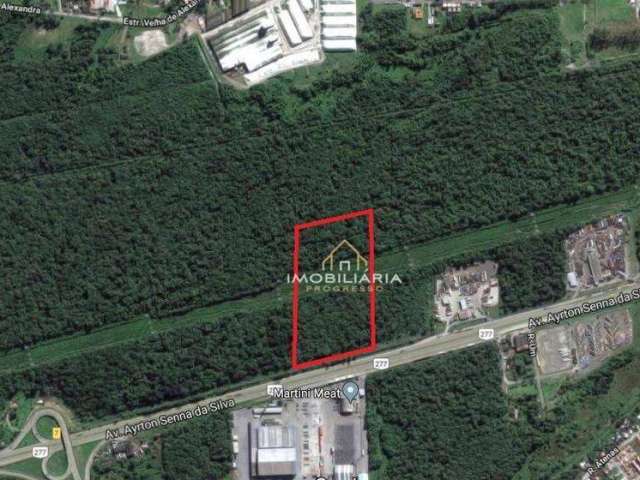 Terreno à venda, 55268 m² por R$ 20.000.000,00 - Alexandra - Paranaguá/PR