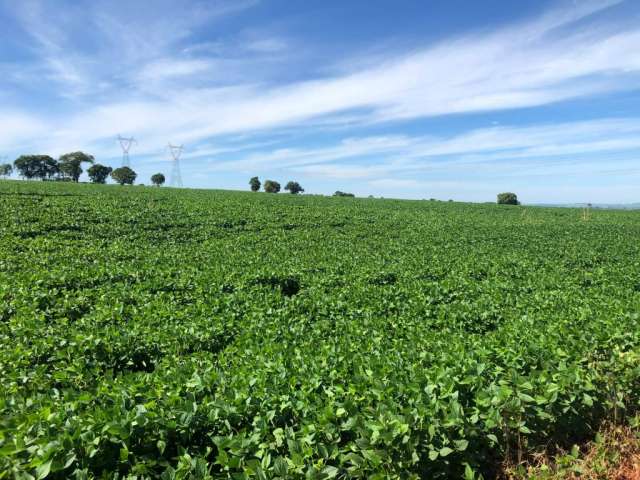 Fazenda a venda para cana ou lavoura na região de Itumbiara, Goiás