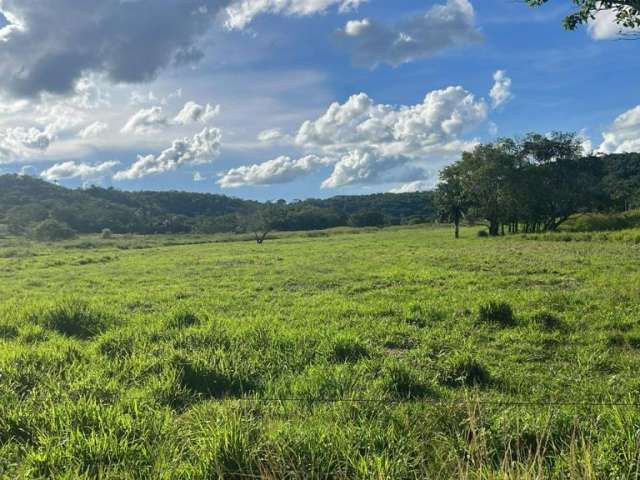 Fazenda a venda com 100 alqueires para agricultura na região de Campina Verde, MG.