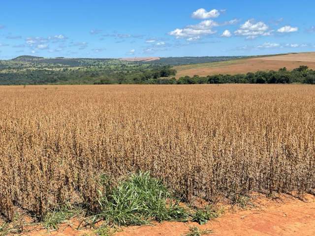 Fazenda a venda com 479 alqueires região de Caldas Novas, Go.