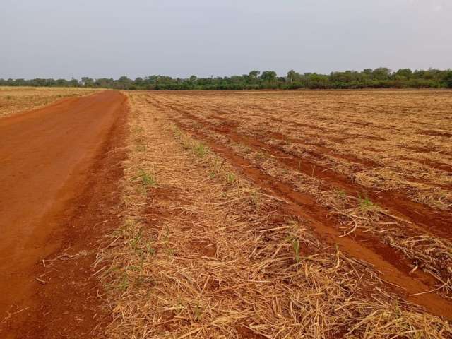 Fazenda de 16 alqueires em cana e grãos a venda em Itumbiara, Goiás