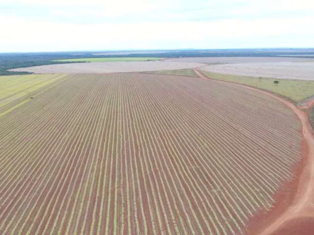 Mega fazenda com 2.123 alqueires a venda