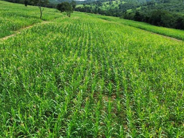 Fazenda de pecuária a venda em Caldas Novas, Goiás