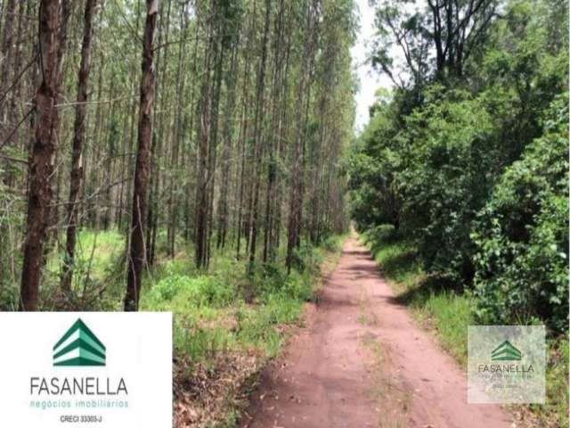 Fazenda à venda em São Simão