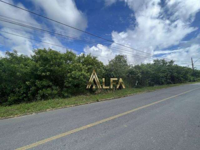 Terreno à venda, 4050 m² por R$ 2.700.000,00 - Centro - Penha/SC