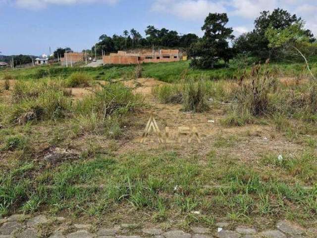 Terreno à venda, 312 m² por R$ 223.000,00 - Nossa Senhora de Fatima - Penha/SC