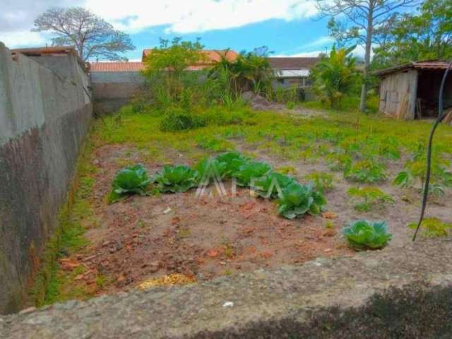 Terreno à venda, 288 m² por R$ 215.000,00 - Itajuba - Barra Velha/SC