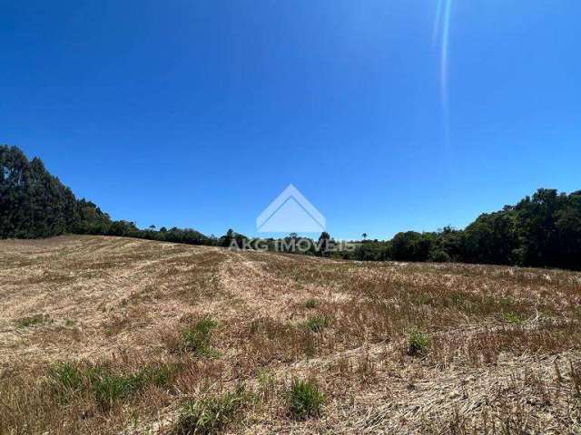 Chácara / sítio à venda na Estrada Rural, s/n, Centro, Contenda por R$ 480.000