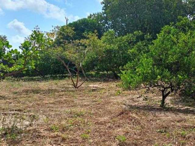 Terreno p/ Locação na Messejana, Fortaleza/CE