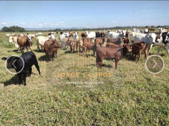 Fa-2456 - fazenda à venda em guaratinguetá/sp