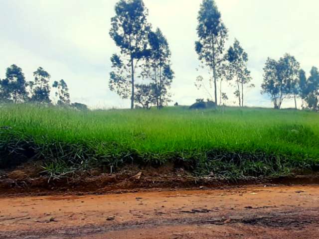 Amplo Terreno de 1000m² em São João Novo - Ideal para Construir