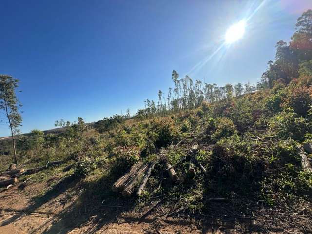 Venda Imperdível: Terreno de 500m² em Ecovilla – Grande Potencial de Valorização!