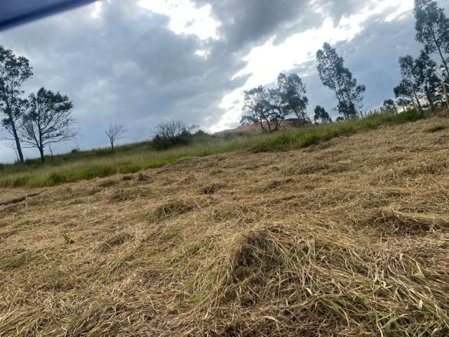 Tranquilidade e Natureza: Terreno de 1000m² em São Roque -interior de São Paulo