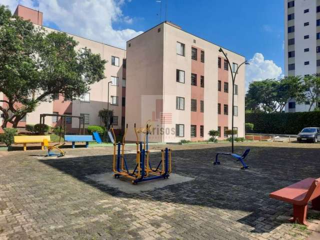 Oportunidade Apartamento  Butantã