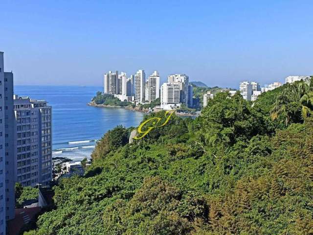 Belíssimo apto Reformado, com linda vista para mata e mar