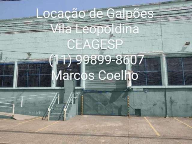 Galpão  1.190 M2  CEASA Vila Leopoldina - São Paulo - SP