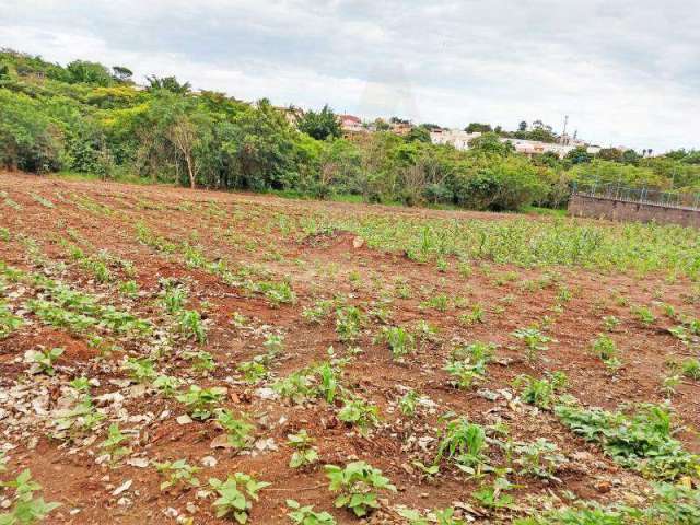 Terreno à venda, Abolição - Araras/SP