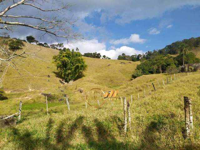 Fazenda para Venda em Juiz de Fora, Torreões, 3 dormitórios, 3 banheiros, 10 vagas