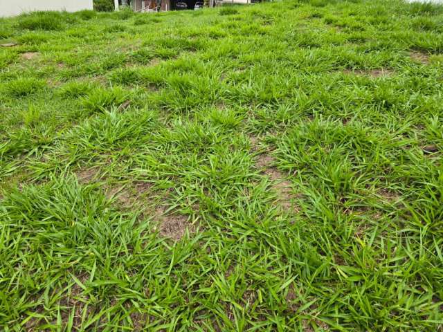 Terreno em condomínio fechado de alto padrão  Helvetia Park lI Indaiatuba_ SP.