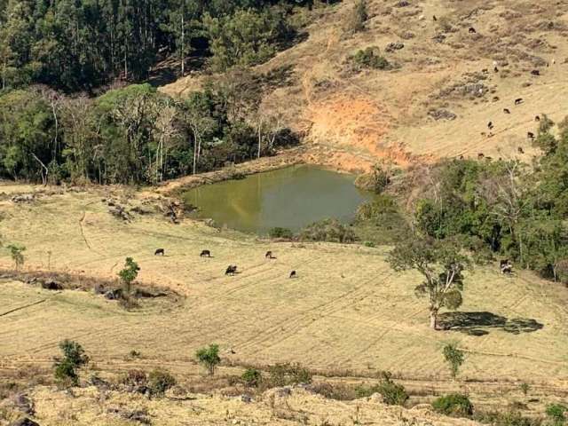 Sítio em Cascata, Águas da Prata/SP