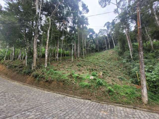 Terreno à venda, 1500 m² por R$ 350.000,00 - Parque do Imbui - Teresópolis/RJ